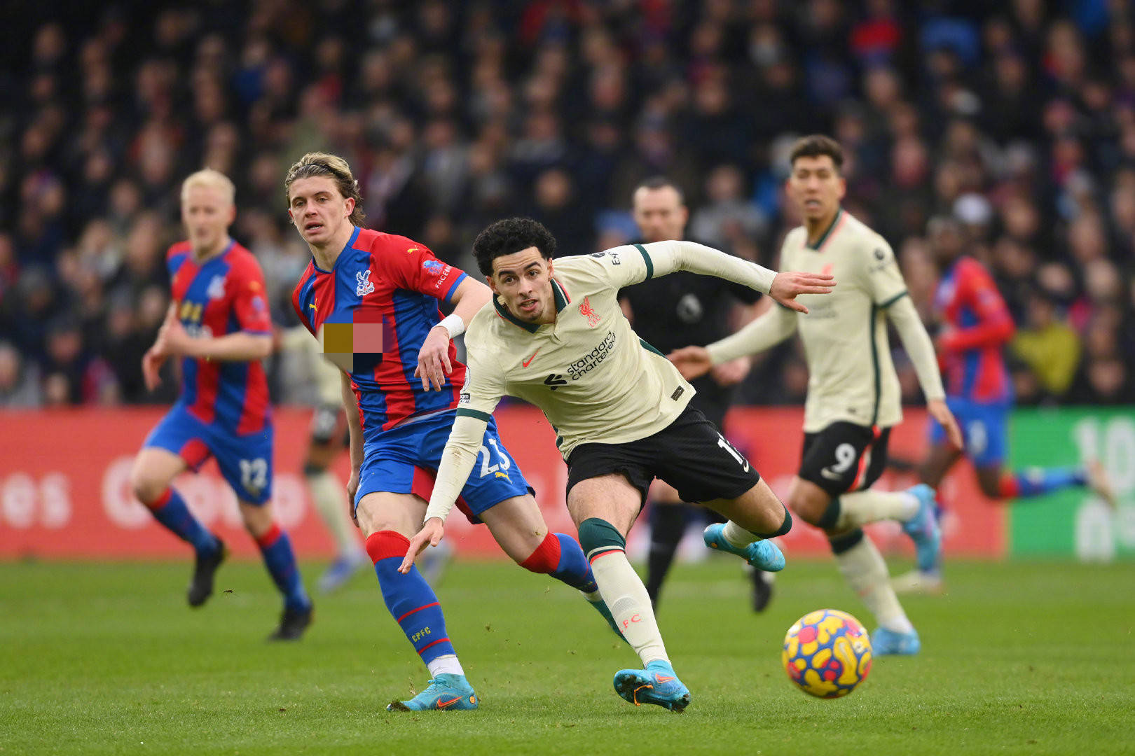 国足球星韦 国足球星韦